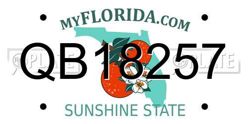QB18257 Florida License Plate