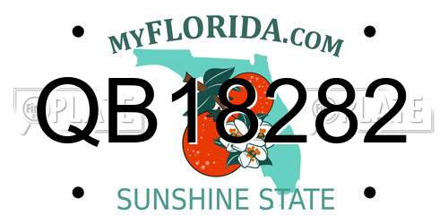 QB18282 Florida License Plate