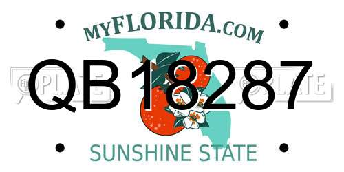 QB18287 Florida License Plate