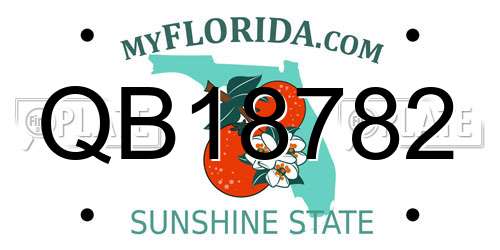 QB18782 Florida License Plate