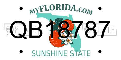 QB18787 Florida License Plate