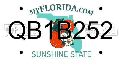 QB1B252 Florida License Plate