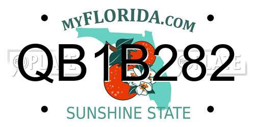 QB1B282 Florida License Plate