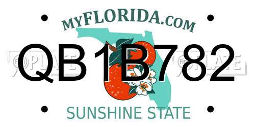 QB1B782 Florida License Plate