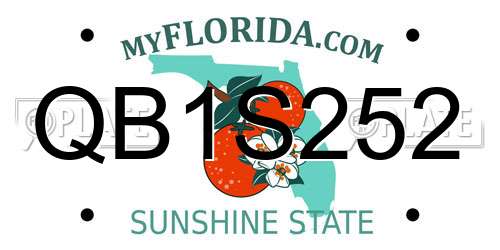 QB1S252 Florida License Plate