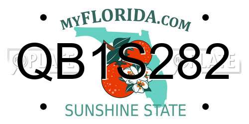 QB1S282 Florida License Plate