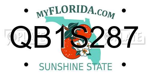 QB1S287 Florida License Plate