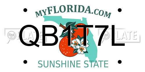 QB1T7L Florida License Plate