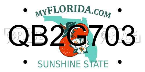 QB2G703 Florida License Plate