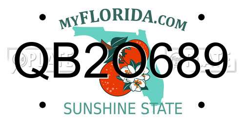 QB2O689 Florida License Plate