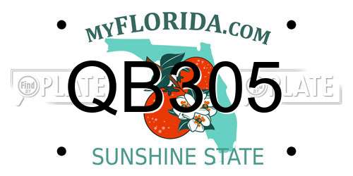 QB305 Florida License Plate