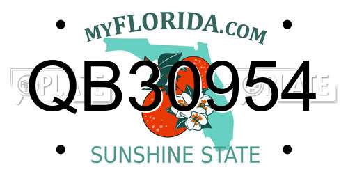 QB30954 Florida License Plate
