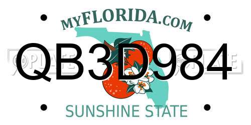 QB3D984 Florida License Plate