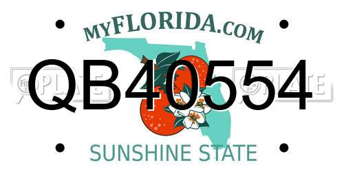 QB40554 Florida License Plate