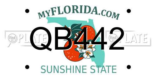 QB442 Florida License Plate