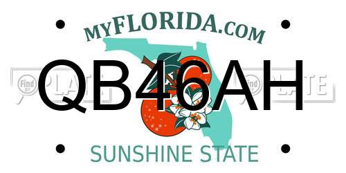 QB46AH Florida License Plate