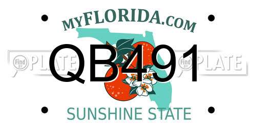 QB491 Florida License Plate
