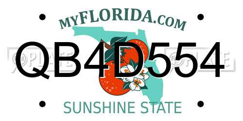 QB4D554 Florida License Plate