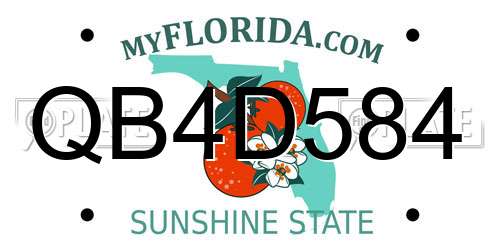 QB4D584 Florida License Plate