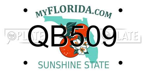 QB509 Florida License Plate