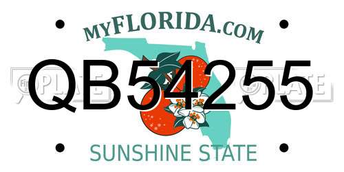 QB54255 Florida License Plate