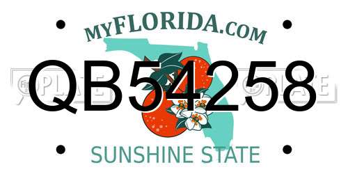 QB54258 Florida License Plate