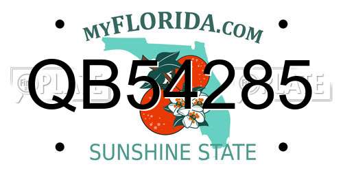 QB54285 Florida License Plate