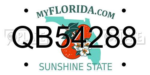 QB54288 Florida License Plate