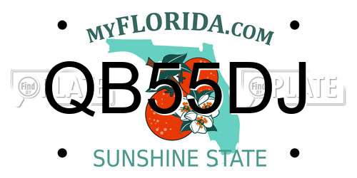 QB55DJ Florida License Plate