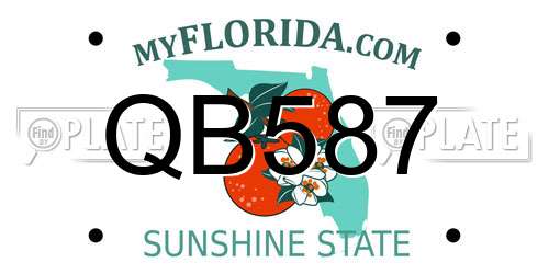 QB587 Florida License Plate