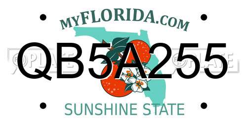 QB5A255 Florida License Plate