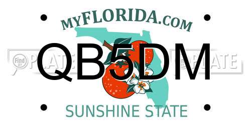 QB5DM Florida License Plate