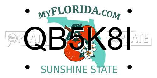 QB5K8I Florida License Plate