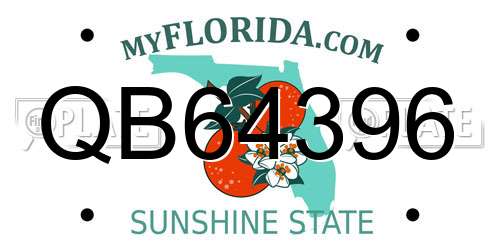 QB64396 Florida License Plate