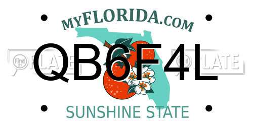 QB6F4L Florida License Plate