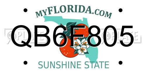 QB6F805 Florida License Plate