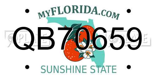 QB70659 Florida License Plate