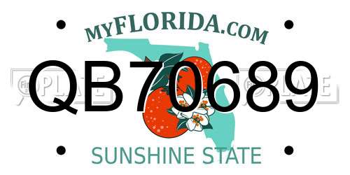 QB70689 Florida License Plate