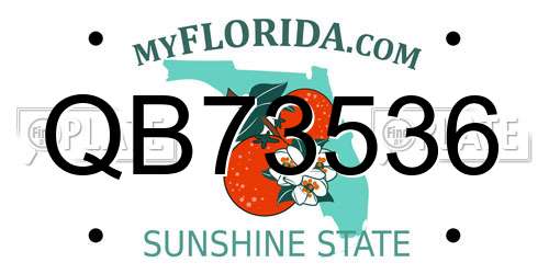 QB73536 Florida License Plate