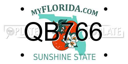 QB766 Florida License Plate