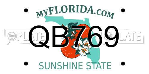 QB769 Florida License Plate