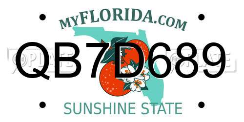 QB7D689 Florida License Plate
