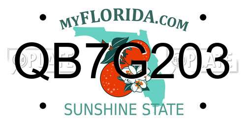 QB7G203 Florida License Plate