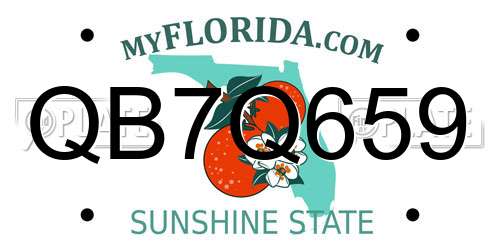 QB7Q659 Florida License Plate