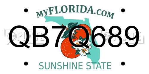 QB7Q689 Florida License Plate