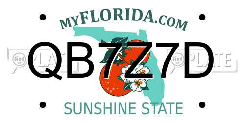 QB7Z7D Florida License Plate