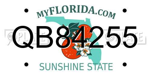 QB84255 Florida License Plate