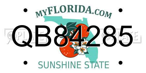 QB84285 Florida License Plate