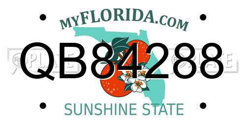 QB84288 Florida License Plate