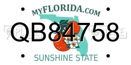 QB84758 Florida License Plate